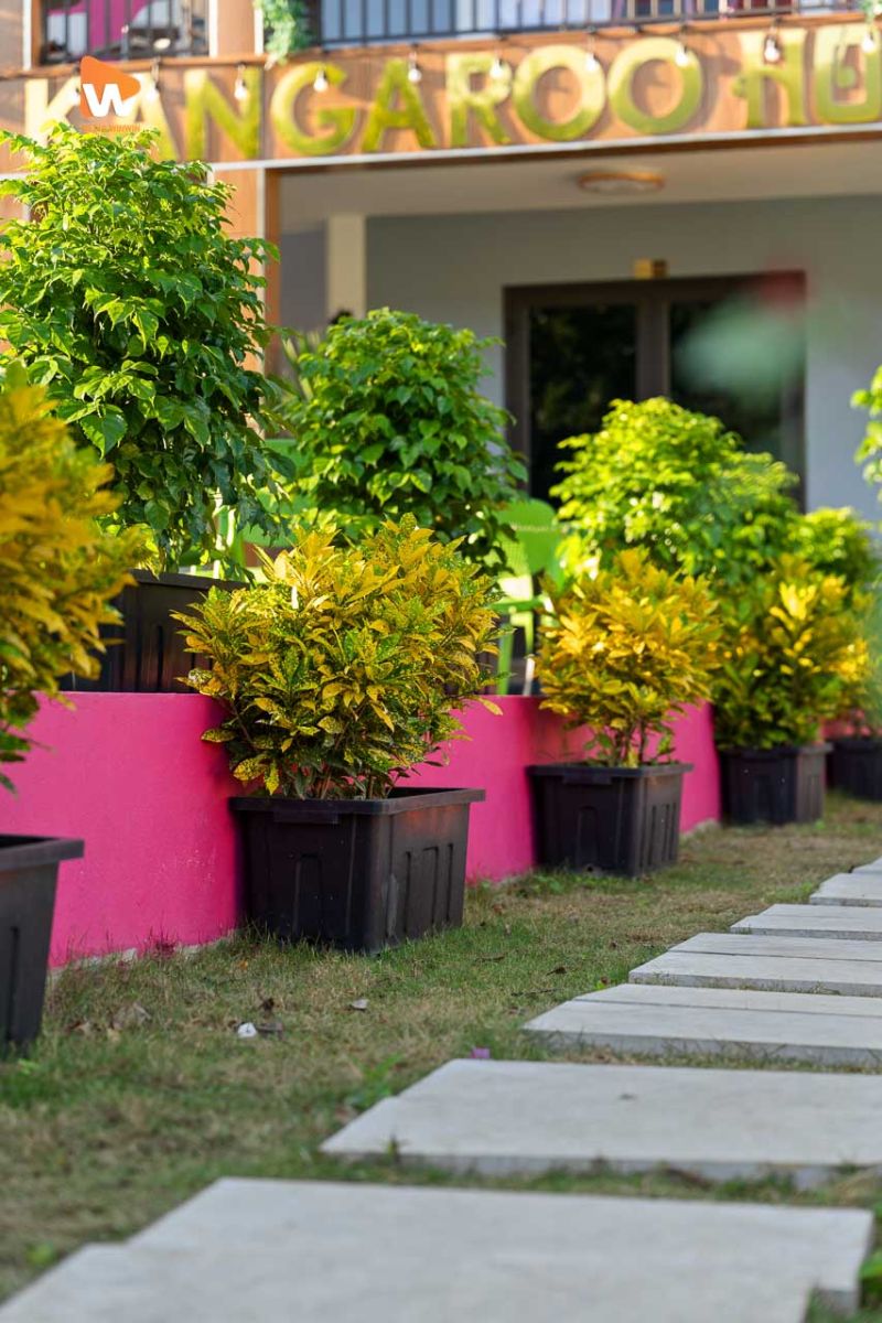 Chụp ảnh homestay Kangaroo Cát Bà — khung hình số 13