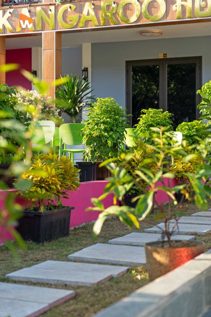Chụp ảnh homestay Kangaroo Cát Bà — khung hình số 15