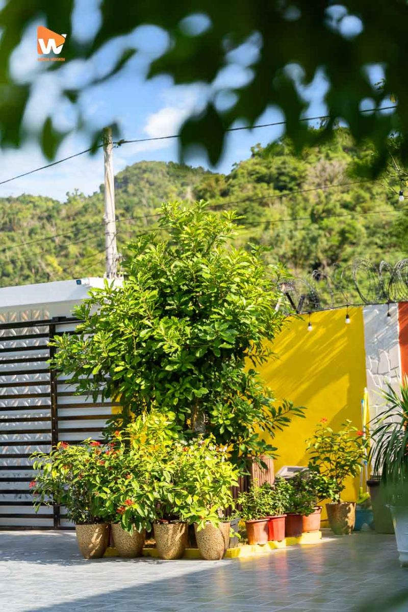 Chụp ảnh homestay Kangaroo Cát Bà — khung hình số 16
