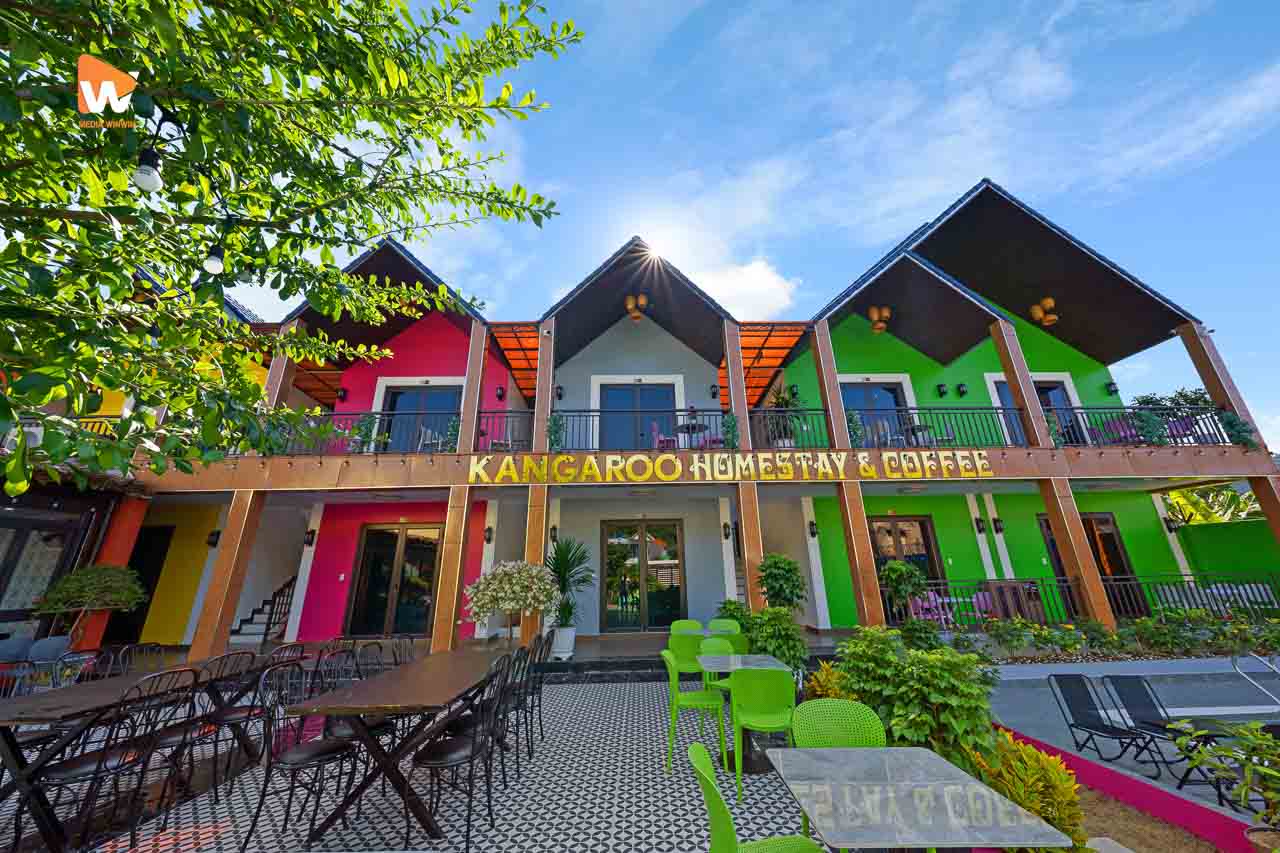 Chụp ảnh homestay Kangaroo Cát Bà — khung hình số 9