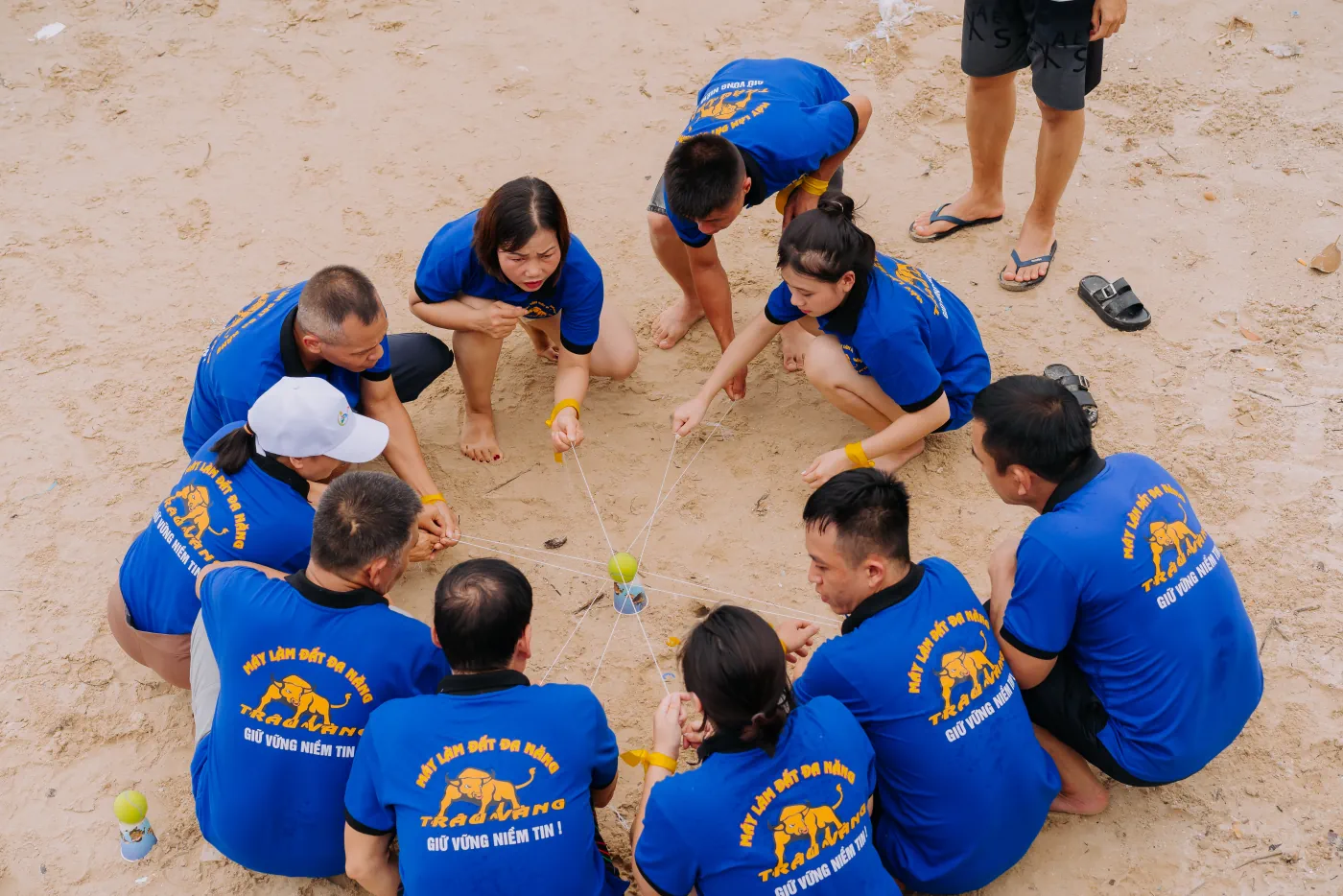 Quy trình thực hiện của Media Win Win