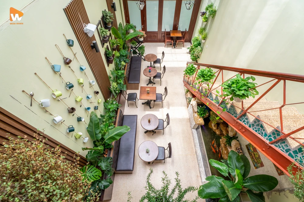 Chụp hình quán cafe 36 Phố với mảng tường xanh mát được trang trí bằng nhiều loại cây và biển chỉ dẫn bằng gỗ độc đáo