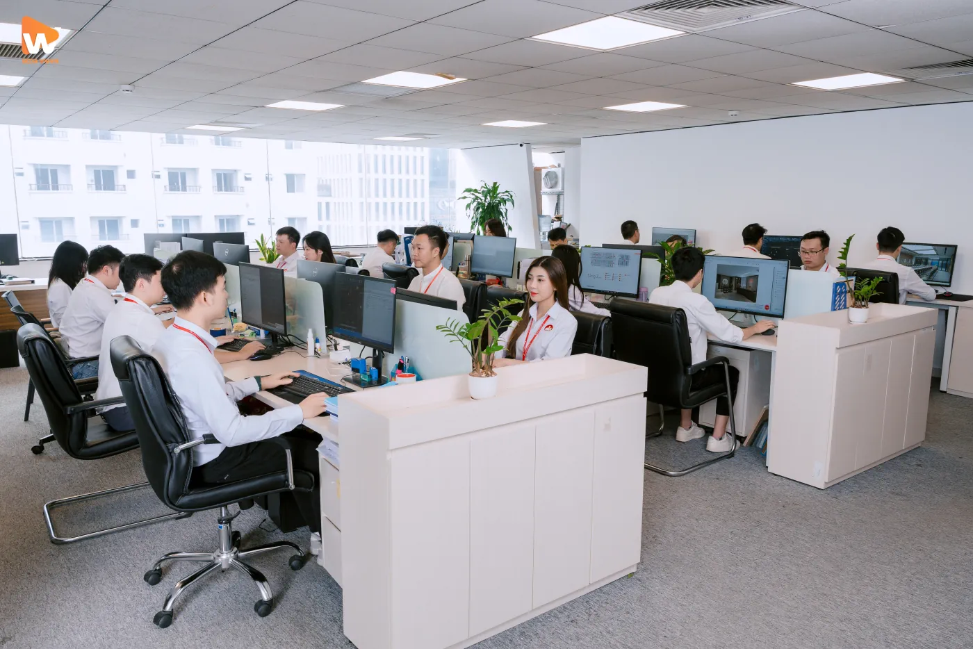 mẫu video giới thiệu công ty